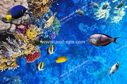 عکس با کیفیت ماهی های آکواریومی زیبا در حال شنا در کف اقیانوس در اطراف مرجان ها با اشکال و رنگ های گوناگون