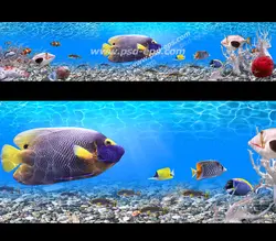 عکس با کیفیت آسمان مجازی آکواریوم با نمایی زیبا از کف دریا یا اقیانوس با شنای ماهی های مختلف کوچک و بزرگ به همراه ستاره دریایی