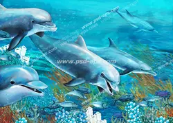 عکس با کیفیت آسمان مجازی آکواریوم با طرح دسته دلفین ها در حال شنا در زیر آب دریا