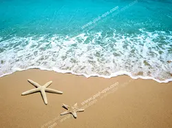 عکس با کیفیت آسمان مجازی آکواریوم دو ستاره دریایی زرد رنگ در ساحل دریا