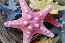 عکس با کیفیت ستاره دریایی زیبا با رنگ صورتی مناسب آسمان مجازی آکواریوم