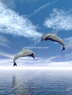 عکس با کیفیت زیبا و شگفت آسمان مجازی آکواریوم از پرش دو دلفین در آسمان روی دریا