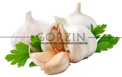 4 عدد طرح دوربری شده سیر دوربری شده