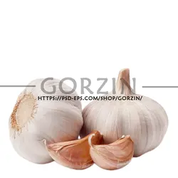 4 عدد طرح دوربری شده سیر دوربری شده