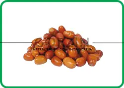 طرح دوربری شده سنجد