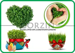 4 عدد طرح دوربری شده سبزه عید نوروز