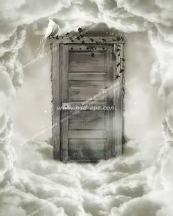 نقاشی و طرح فانتزی دنیای رویایی و آرزوها با دری چوبی و قدیمی با کبوتر سفید نشسته و شاخه های پیچک بر روی در