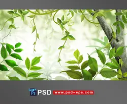 نقاشی طرح لایه باز برگ های سبز درخت به همراه تنه درخت و شاخه های پیچکی