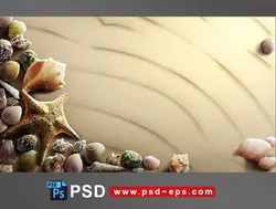 نقاشی و طرح لایه باز ساحل زیبای شنی با صدف های مختلف ، گوش ماهی و ستاره دریایی