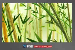 نقاشی لایه باز گیاهان بامبو با چوب ها و نی های بلند