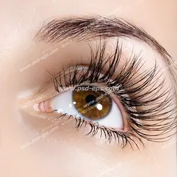عکس با کیفیت چشم بانویی با مژه های بلند و فر جهت تبلیغ کاشت و اکستنشن مژه و لیفت مژه
