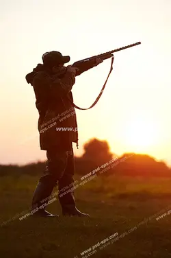 عکس با کیفیت شکارچی در چمنزار با تفنگ شکاری در دست در حال شکار پرنده هنگام غروب آفتاب