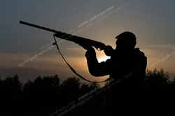 عکس با کیفیت شکارچی با تفنگ شکاری در دست در حال آماده سازی برای شکار پرنده در هنگام طلوع آفتاب