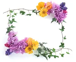 عکس با کیفیت قاب عکس با گل های بابونه ، سنبل و کاغذی با شاخه و برگ های سبز آن