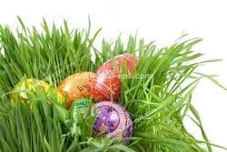 عکس با کیفیت سبزه عید نوروز به همراه تخم مرغ های رنگی با طراحی های زیبا قرار گرفته بر روی سبزه