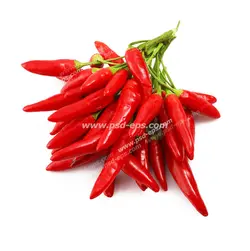 عکس با کیفیت دسته ای از فلفل های قرمز با پس زمینه سفید