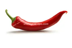 عکس با کیفیت یک عدد فلفل قرمز تند با پس زمینه سفید