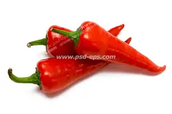 عکس با کیفیت سه عدد فلفل قرمز بزرگ چیده شده بر روی هم با پس زمینه سفید