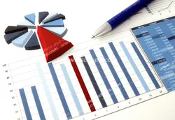 عکس با کیفیت نمودارهای دایره ای و ستونی در کنار جدول داده های آماری بر روی میز