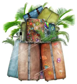 عکس با کیفیت چمدان های قهوه ای قدیمی کوچک و بزرگ با تمبرهای مختلف در مقابل چند درخت استوایی