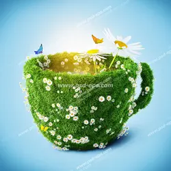 عکس با کیفیت فنجان ساخته شده با گیاهان و گل های سفید بابونه