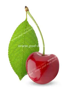 عکس با کیفیت میوه گیلاس قرمز رنگ با برگ آن