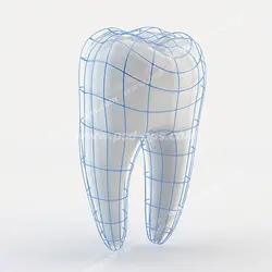 عکس با کیفیت شکل کامل از دندان و محافظت از دندان تبلیغی مناسب مراکز دندان پزشکی و مطب های دندان پزشکان و کارخانه های تولید کننده خمیردندان