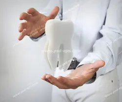 عکس با کیفیت ماکت سه بعدی دندان در دستان آقایی با لباس سفید