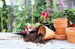 عکس با کیفیت گلدان های سفالی خالی با خاک ریخته شده در کنار آن به همراه گل ها و گیاه ها با زمینه باغ