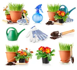 عکس با کیفیت ترکیب تصاویری از گلدان و گیاه ها به همراه لوازم باغبانی ، دستکش و آب پاش