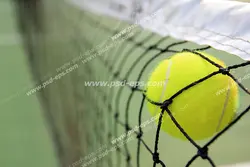 عکس با کیفیت توپ تنیس با تور