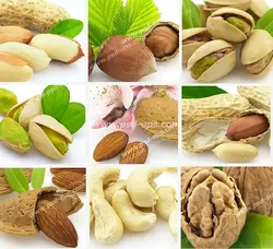 عکس با کیفیت ترکیبی از تصاویر مغزهای آجیل شامل گردو و پسته ، بادام زمینی ، درختی و هندی ، فندق با زمینه سفید