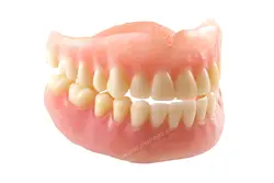 عکس با کیفیت دندان مصنوعی متحرک بر روی زمینه سفید ویژه استفاده در امور تبلیغاتی و تجاری طراحی کاتالوگ ، بروشور و تراکت با موضوع ساخت و کاشت دندان مصنوعی متحرک یا ژله‌ای و ثابت ، دندان پزشکی و جراحی دهان و دندان