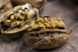عکس با کیفیت از نمای نزدیک دو گردوی شکسته ویژه استفاده در امور تبلیغاتی و تجاری طراحی کاتالوگ ، بروشور و تراکت با موضوع باغبانی ، کشاورزی و برداشت محصول گردو و فروشگاه آجیل یا آجیل فروشی و مغزهای مفید و پیام های سلامتی