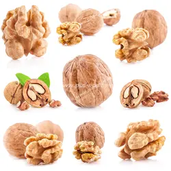 عکس با کیفیت مغز گردو و گردوی سالم و شکسته در شکل ها و چینش های مختلف ویژه استفاده در امور تبلیغاتی و تجاری طراحی کاتالوگ ، بروشور و تراکت با موضوع باغبانی ، کشاورزی و برداشت محصول گردو و فروشگاه آجیل یا آجیل فروشی و مغزهای مفید و پیام های سلامتی