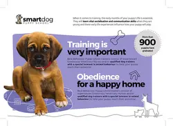 تراکت یا پوستر لایه باز مرکز نگهداری یا درمان حیوانات خانگی بویژه سگ با تصاویر سگ یا دانلود پوستر یا تراکت لایه باز کلینیک دامپزشکی با زمینه سیفد و بنفش