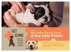 تراکت یا پوستر لایه باز مرکز نگهداری حیوانات یا مراکز درمانی و خدمات بهداشت حیوانات خانگی