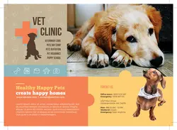 تراکت یا پوستر لایه باز مرکز نگهداری حیوانات یا مراکز درمانی و خدمات بهداشت حیوانات خانگی