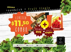 تراکت لایه باز تبلیغاتی ساندویچ فروشی با سبزیجات و مواد اولیه تازه یا رستوران های غذاهای رژیمی