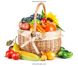 عکس با کیفیت سبد میوه و گل آفتابگردان و سیفی جات تازه و صادراتی مختلف مناسب شب یلدا با زمینه سفید مناسب میوه فروشی ها و مزرعه داران