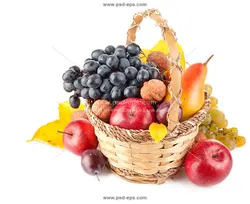 عکس با کیفیت سبد میوه های مختلف گلابی ، انگور ، آلو ، سیب و گردو مناسب شب یلدا مناسب بونک داران میوه و میدان های میوه و تربار و میوه فروشی ها
