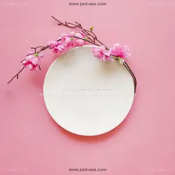 عکس با کیفیت شکوفه های صورتی بهاری در کنار بشقاب سفید چینی با زمینه صورتی