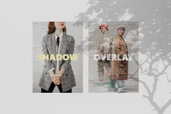 افکت سایه گیاهان