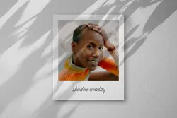 افکت سایه گیاهان