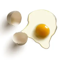 وکتور تخم مرغ شکسته