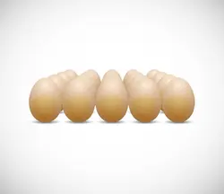 وکتور ردیف تخم مرغ