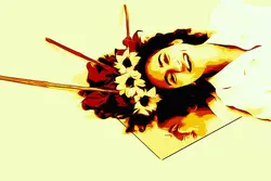 افکت هنری پاپ آرت Pop Art