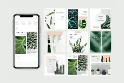 طرح پست اینستاگرام گیاهان آپارتمانی