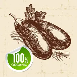 وکتور نقاشی بادمجان