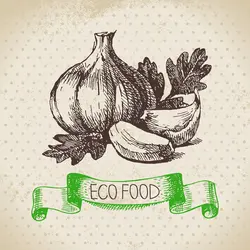 وکتور نقاشی سیر